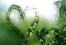 雷速体育电脑版官网-奥地利乒乓球队绝地反击日本队，马龙关键制胜，体育传奇再书新篇